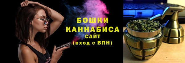 тгк Арсеньев